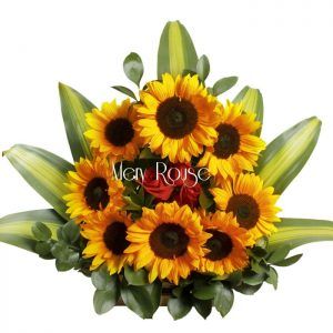 Rayo De sol Mery Rouse