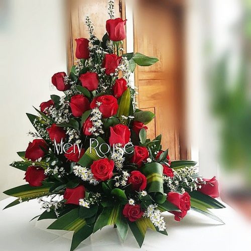 Antonella 24 Rosas