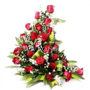 Antonella 24 Rosas