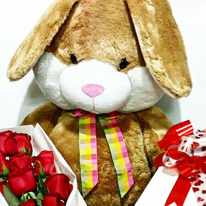 REGALOS